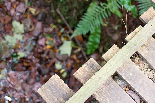 8192594845_2e786ae266